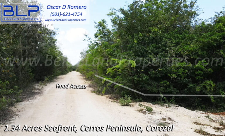 Road Photo 1 Copy - Belize Land Properties Ltd