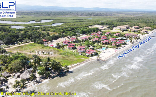 1.878 Acres Beachfront in Hopkins Village