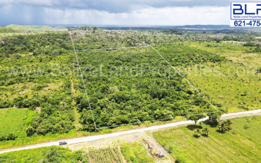 50 Acres of Farmland For Sale in Cayo, Belize, Near Valley of Peace Cayo
