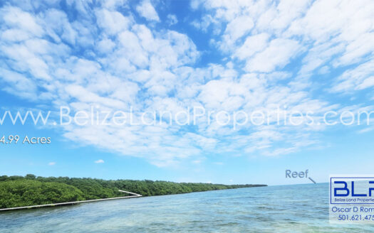 24.99 Acres on Eastern Turneffe