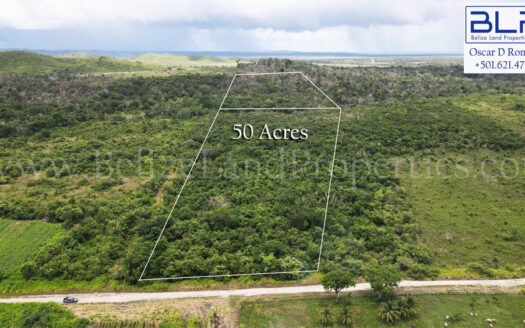 50 Acres of Farmland For Sale in Cayo, Belize, Near Valley of Peace Cayo