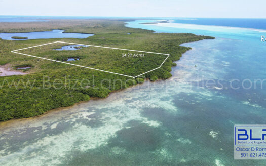 24.99 Acres on Eastern Turneffe