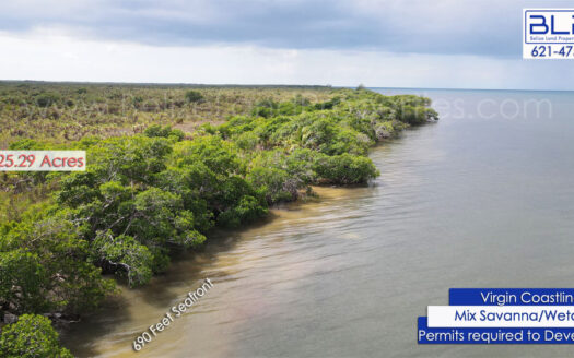 25.29 Acre in Turneffe Atoll