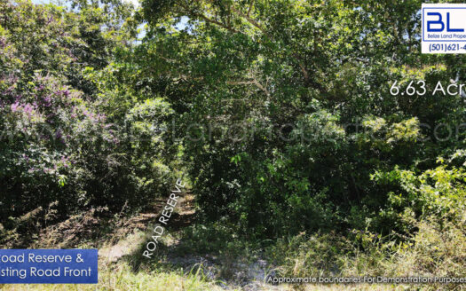 6.63 Acre Farmland for Sale