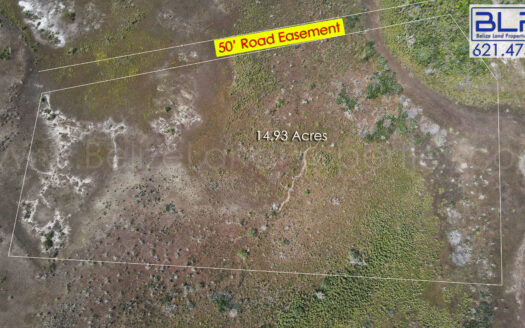 14.93 Acres off George Price Highway