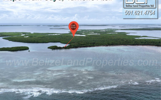 0.48 Acres on Rope Walk Caye, Turneffe