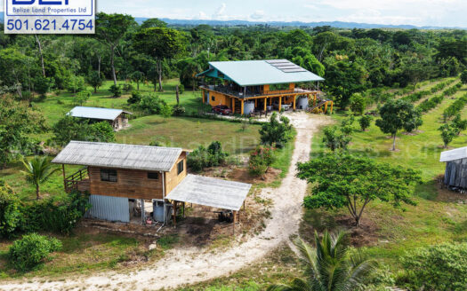 FARMLAND FOR SALE IN BELIZE -92.23 Acres Homestead in Cayo For Sale