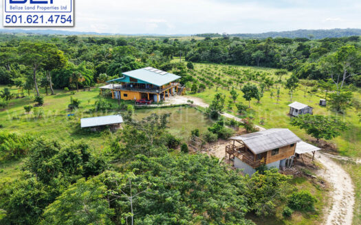 FARMLAND FOR SALE IN BELIZE -92.23 Acres Homestead in Cayo For Sale
