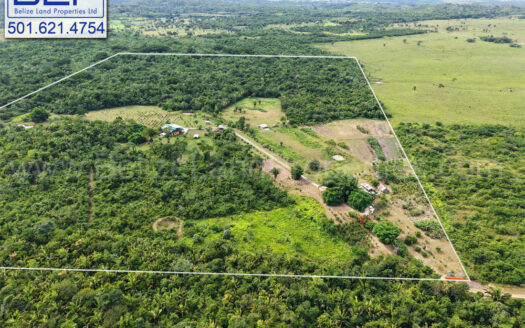 FARMLAND FOR SALE IN BELIZE -92.23 Acres Homestead in Cayo For Sale
