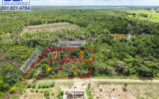 Lots 5 & 6 in Hope Creek Village, Stann Creek