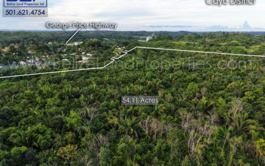 Land For Sale in Ontario Village Cayo