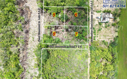 Lots 5 & 6 in Hope Creek Village, Stann Creek