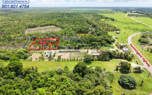 Lots 5 & 6 in Hope Creek Village, Stann Creek