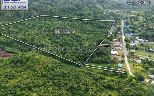 Land For Sale in Ontario Village Cayo