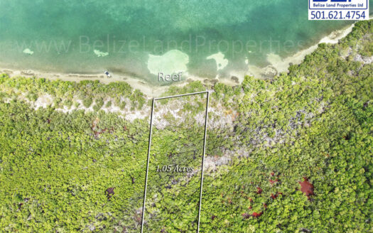 1.05 Acres Beachfront Northwest of Turneffe Atoll