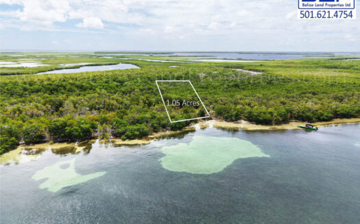 1.05 Acres Beachfront Northwest of Turneffe Atoll