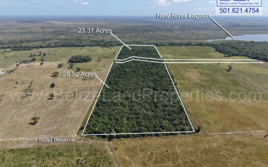 51.73 Acre Farmland For Sale near Lamanai Ruins