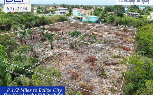Lot 105 Residential Lots for Sale in Western Pines