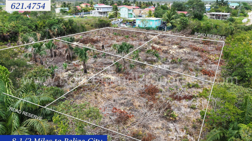 4 lots for sale in Western Pines