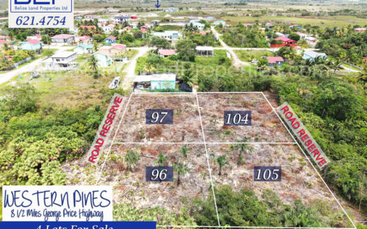 Lot 104 Western Pines