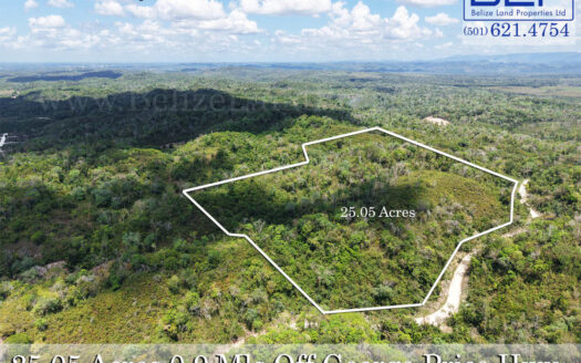 25.05 Acre Hilltop View Land for Sale in Cayo, Belize