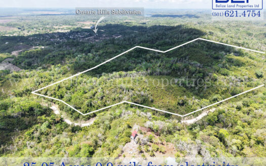 Property for sale