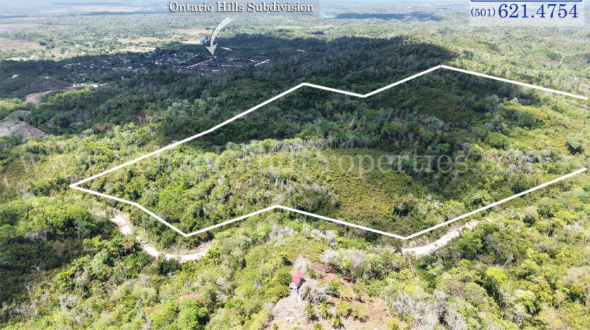 Property for sale