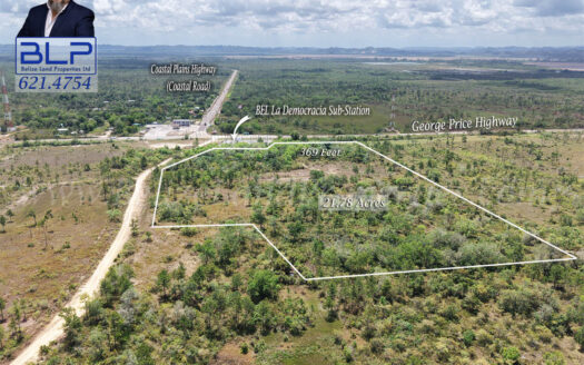 21.78 Acres with George Price Highway frontage at La Democracia
