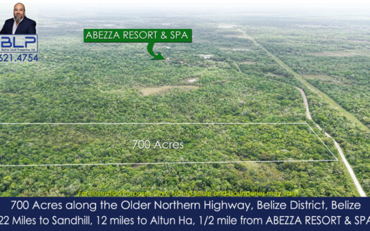 700-Acre Investment Land with Mixed Hardwood on Maskall Road, Belize