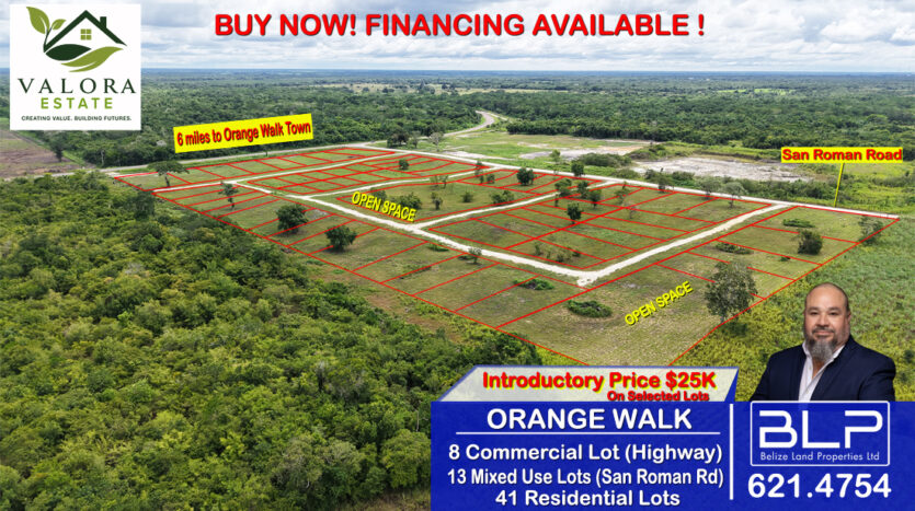 Land for sale in Orange Walk