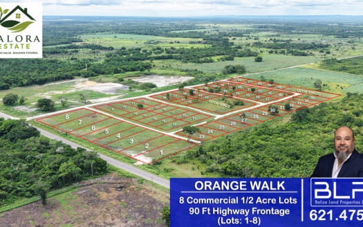 Affordable Residential Lots 6 Miles from Orange Walk Town, Belize