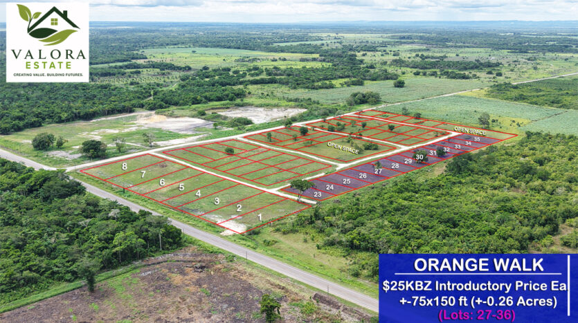 Cheap lots for sale in Orange Walk District